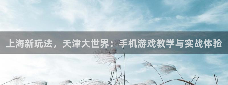 火狐电竞预测手机版下载：上海新玩法，天津大世界：手机游戏教学