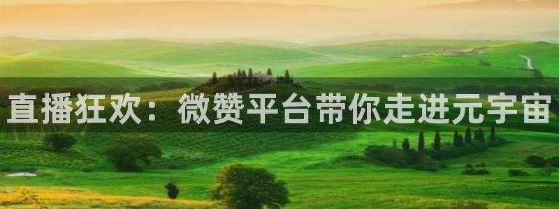 安卓五星体育：直播狂欢：微赞平台带你走进元宇宙