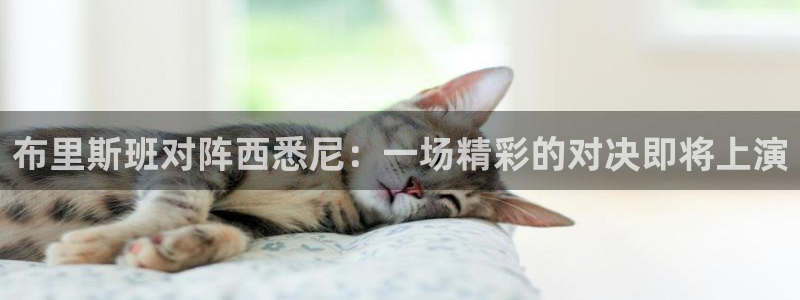 五星体育免费直播：布里斯班对阵西悉尼：一场精彩的对决即将上演