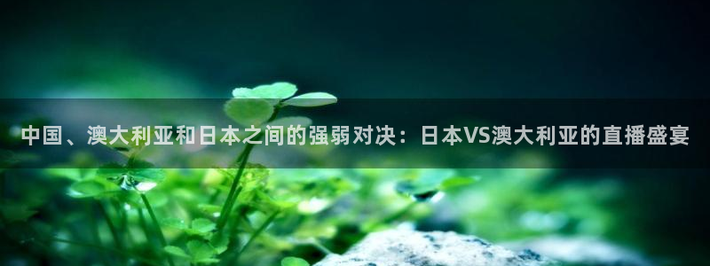 五星体育在线观看：中国、澳大利亚和日本之间的强弱对决：日本VS澳大利亚的直播盛宴