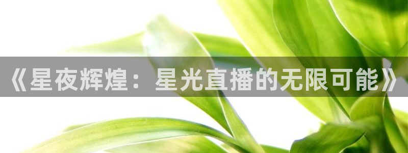 f12020赛程表直播五星体育：《星夜辉煌：星光直播的无限可能》