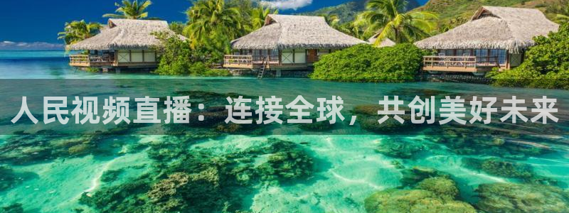 五星体育节目单表今天