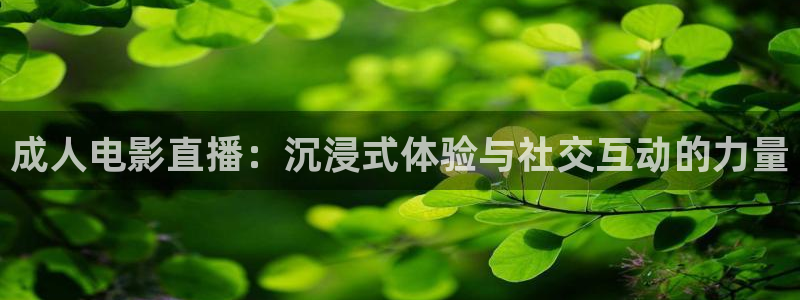 上海五星体育直播频道节目表