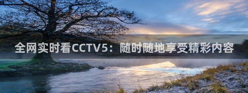 五星体育视频：全网实时看CCTV5：随时随地享受精彩内容