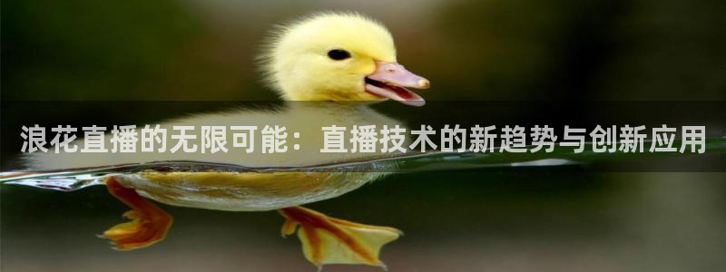 五星体育高清是几频道：浪花直播的无限可能：直播技术的新趋势与创新应用
