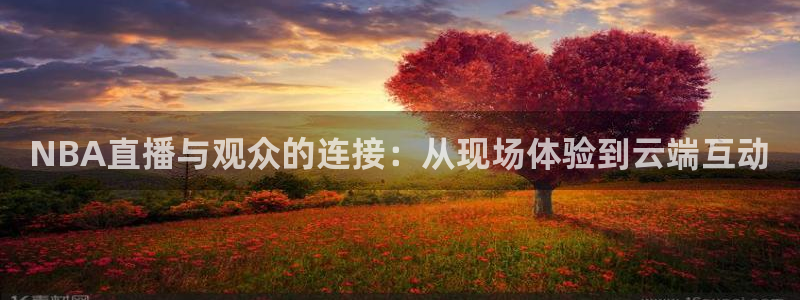 上海五星体育斗地主：NBA直播与观众的连接：从现场体验到云端互动