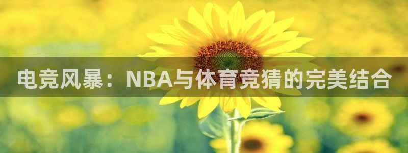 五星体育直播回放观看：电竞风暴：NBA与体育竞猜的完美结合